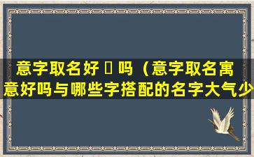 意字取名好 ☘ 吗（意字取名寓意好吗与哪些字搭配的名字大气少见）